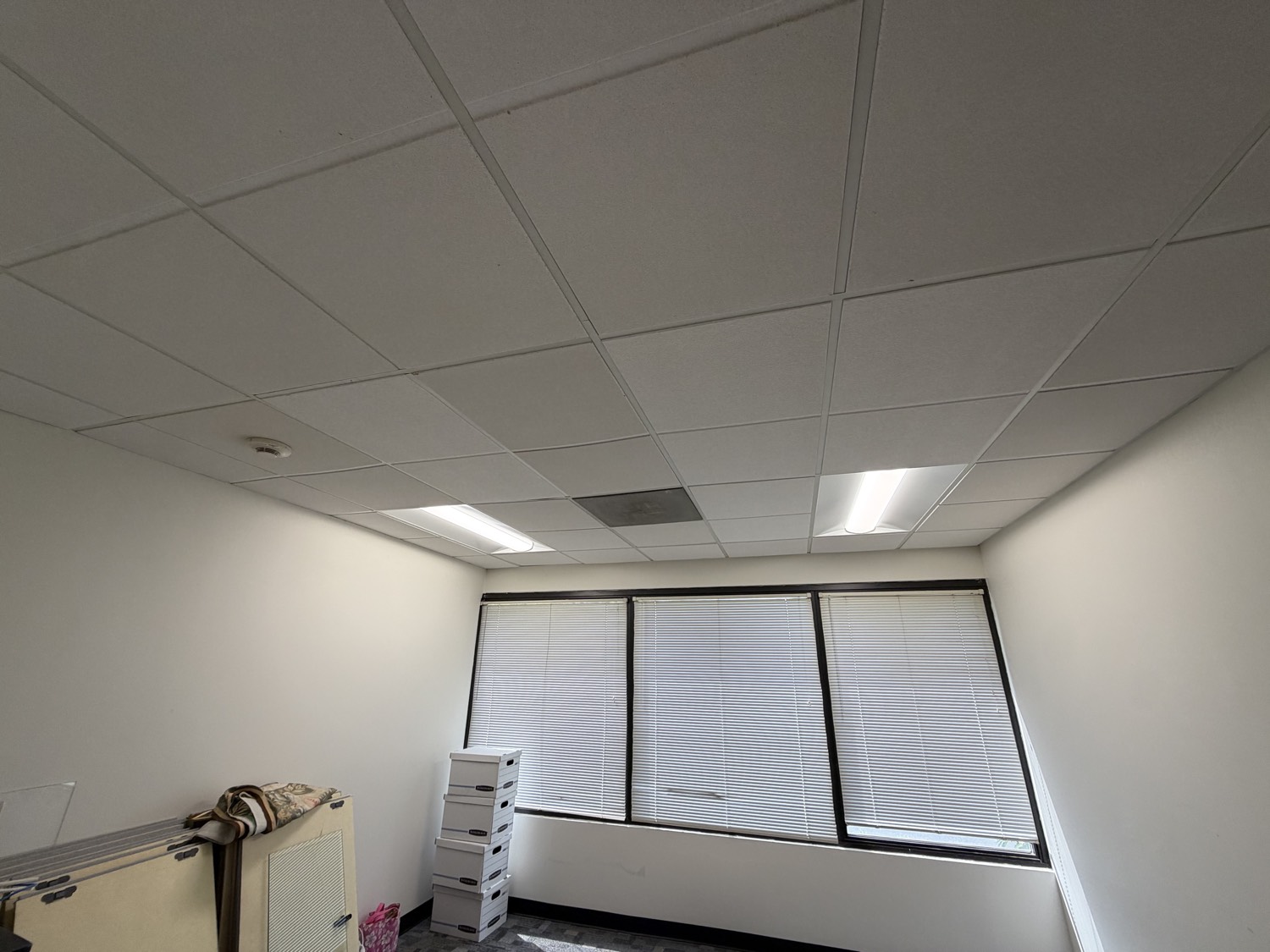 Two 2x4 lights in an office