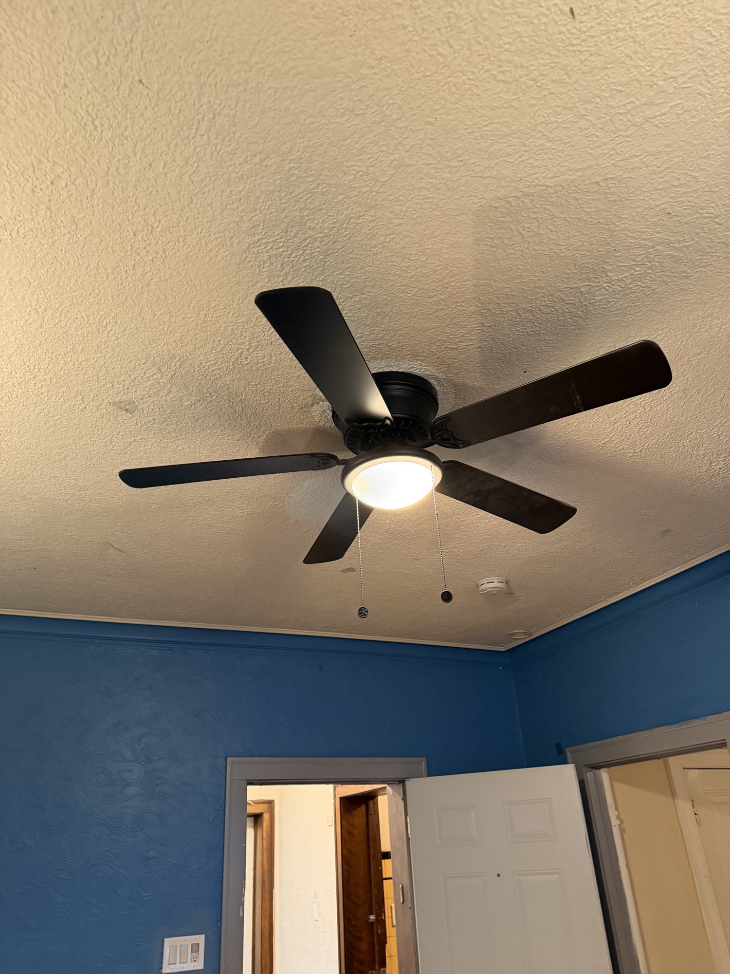 Ceiling fan with light